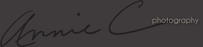 Annie C logo and link to home